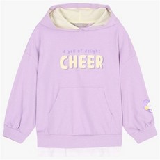 신디넷pebblev3카톡