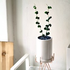 af1304917fa52d92487a96eaeec7a7f06708a0d7e0a7d6c59a37d1a7f6d8.jpg