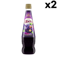 Ribena Blackcurrant 리베나 블랙커런트 주스 1.5L 2팩