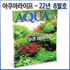 아쿠아라이프 2022년 8월호