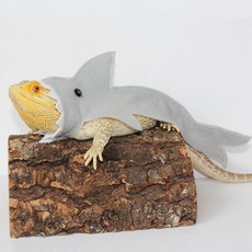 도마뱀옷 상어 티셔츠 펠트 조끼 애완동물 할로윈, 그레이 L (28.5cm), 1개