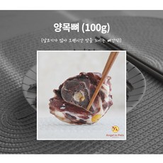 부산반려동물초상화수업
