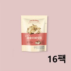 오 리얼 새송이버섯칩 새송이버섯으로 만든 버섯스낵, 16개, 23g