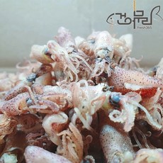 대왕꼴뚜기