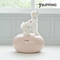  [퍼핑] 강아지짐볼 슬개골탈구예방 운동기구, 퍼핑 강아지짐볼 (홀더증정) 
