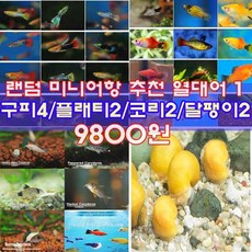 bf708abce9f472cf6956d8ce8df00ee2aa907b65e80ee30882178d13a4b5.jpg