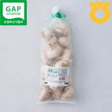 GAP 농협 홍산마늘 특 15통내외 1kg 23년 햇 마늘