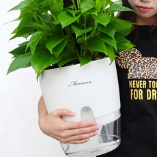 MORIANN 圓形底座花盆, 白色, 1個