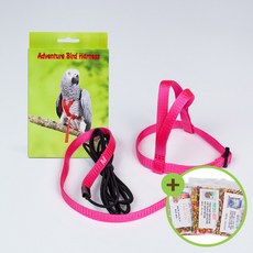 모란앵무하네스