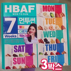 먼투썬7주