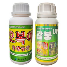 오복이500ml + 칼붕업500ml 유황규산 비료 이온 유황 복합비료 칼슘 붕소 붕사 식물 영양제 비료 병해충 에방제 칼슘제