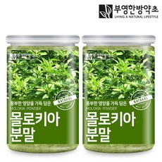 부영한방약초 몰로키아 분말 가루 150g, 2개