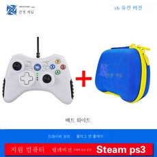 스팀2인용게임
