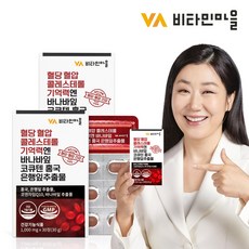 비타민마을 혈당 혈압 콜레스테롤 기억력엔 바나바잎 코큐텐 홍국 은행잎추출물 30일분, 2박스, 30정