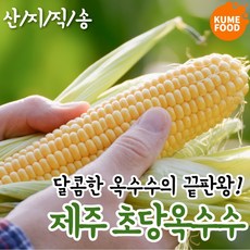[재구매율 98%] 쿠메푸드 제주도 산지직송 특상사이즈 초당 옥수수, 초당옥수수 8개
