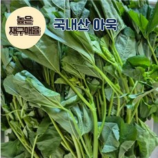 [재구매율 높음] 잇모어웰 국내산 산지직송 당일수확 싱싱한 아욱 아웃국, 1박스, 2kg