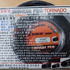 시그넘프로파이어스톰