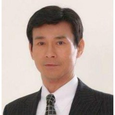 남성인모생머리통가발