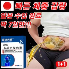 [당일 출고]일본 1/1+1 다이어트 패치 치습 혈자리 패치 배꼽 패치 바디패치 뱃살패치 슬리밍패치 붙이는다이어트패치 바디 라인 관리 도움, 2개, 6개입 - 조세호패치