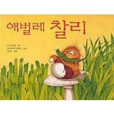 꿈꾸는애벌레