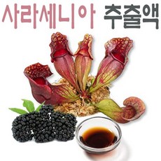 키자니아부산할인