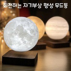 자기부상중문