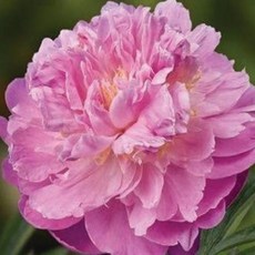 9b861df01f60c102c56b08b8c4ee7e6f202845b5fe03be53253f6eb287df.jpg