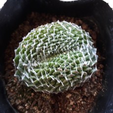 84e3c2aaf75900d48345d7659f01fb8b450e3a46ac8a1e6fbf41174f1bb7.jpg