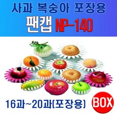 사과 TOP01