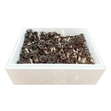 느타리버섯볶음