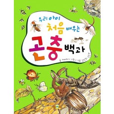 곤충백과사전