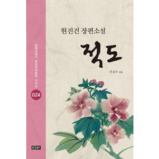 적도의