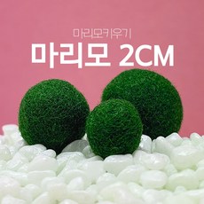 4dcc5a2a549ec8aa9f5310353a39fbce752f62fb2945b889c702cd63e1d7.jpg