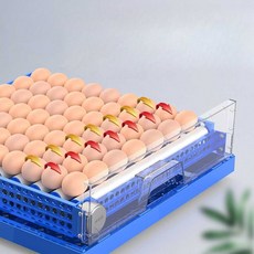 인큐베이터 계란 육추기 계란부화기 메추리 병아리, 계란 16개 서랍형 이중 배터리, 1개
