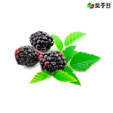 85fed2111351f598bc309cdaec89fd8fa11b4f34593360bc2fa7cb33e82b.jpg