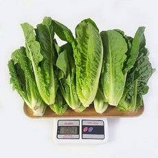 b8d64bda9c5d561742ab8e120ba8b0ac21ddbaa50061a786914b7bda10d8.jpg