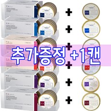 시그니처바이 Pa Aa 강아지 고양이 캔 모음 1Box+1p, Cat) P/a 복약지도 1box +1p, 2개