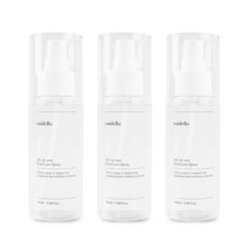 보이델라 목초액 문제성 발톱 스프레이 100ml 대용량 3개(9개월), 3개, 1개입