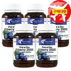 네이처스위즈덤 빌베리 25000mg 60캡슐, 5개