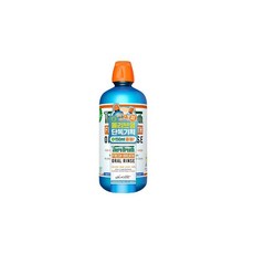 테라브레스 오랄린스 아이시민트 1L+150ml 기획세트 (랜덤샘플증정)