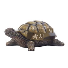 난폭한거북이