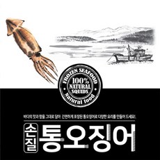 특대사이즈 냉동 간편 손질 통오징어16마리(8팩), 8개