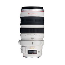 캐논 EF 28-300mm F3.5-5.6L IS USM 렌즈 / TJ