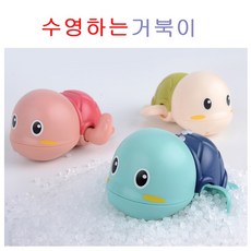 헤엄치는태엽거북이