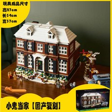 나홀로집에레고