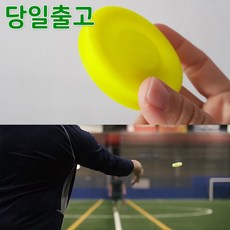 스마일원반던지기