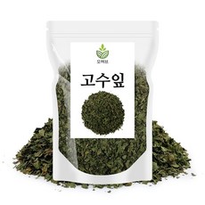 베트남고수