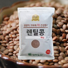 22년/렌틸콩 브라운렌틸콩 4kg / 슈퍼푸드 박스포장 대용량, 1개