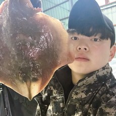 국내산 군산 신선 생물 냉동 간재미 1.4kg 전후(2미~3미) 경매 간재미 회 간재미 무침, 1개