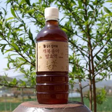 담촌장마을 개복숭아 발효액(효소는 올바른 명칭이 아닙니다), 500ml, 1병